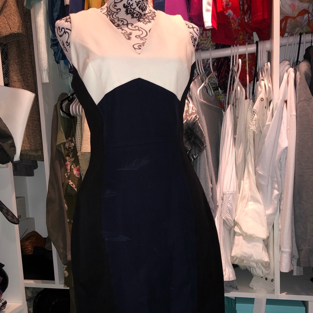 Banana Republic business dress sz 10P